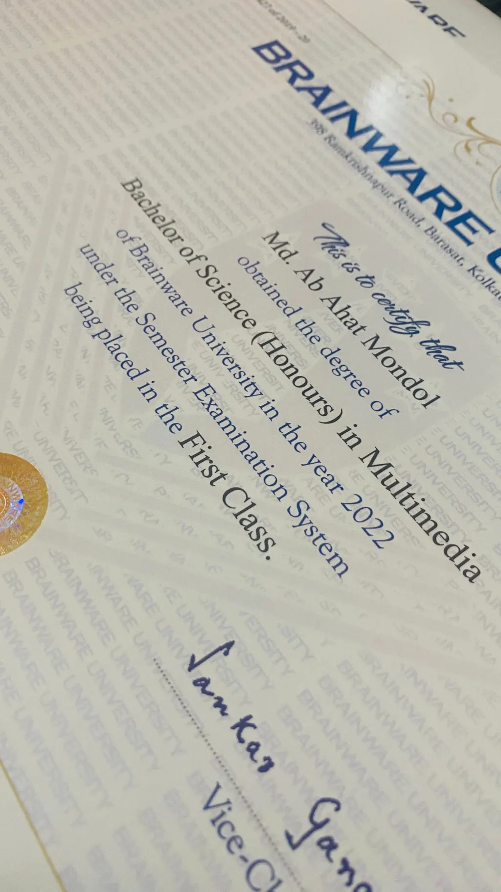 BSc (Hons) in Multimedia