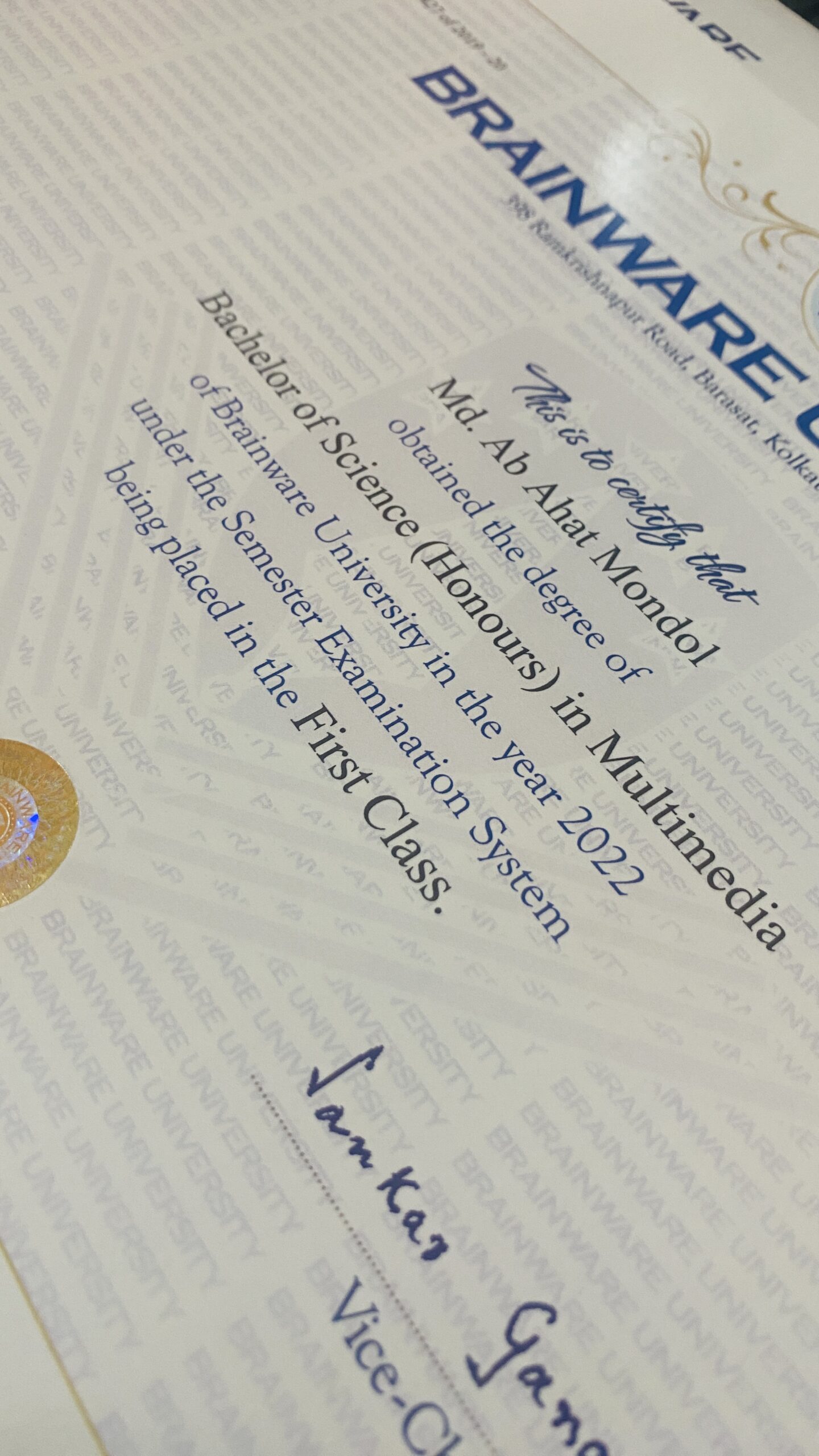 Bachelor of Science (Honours) in Multimedia